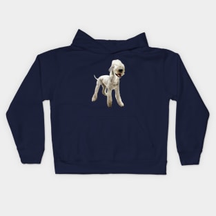 Bedlington Terrier Kids Hoodie